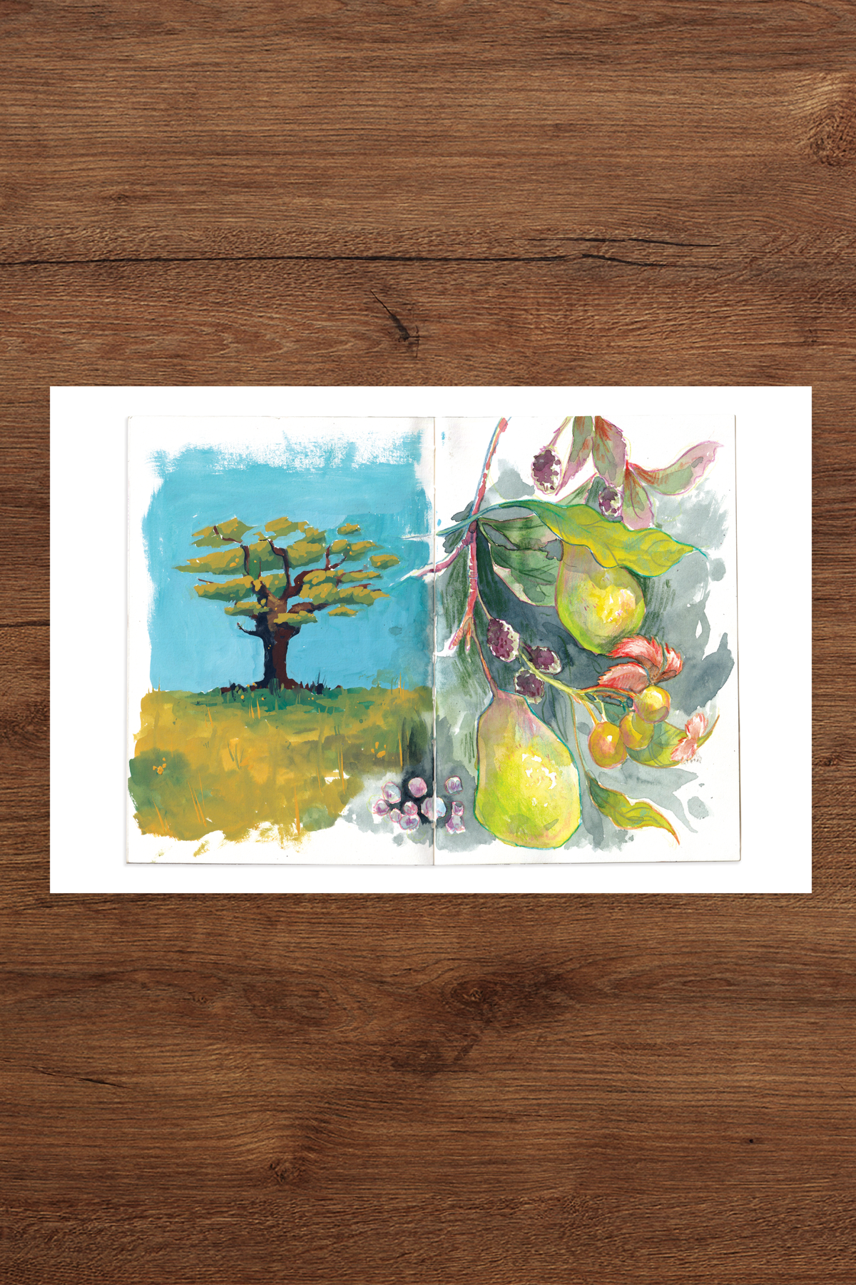 Tree and Pears Sketchbook Print -Original Gouache, Watercolour and Coloured Pencil Sketchbook Illustration