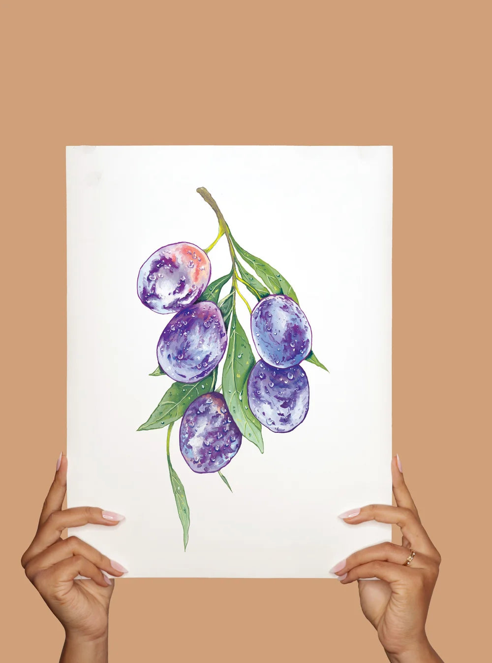 Grapes #1  - Fine Art Print